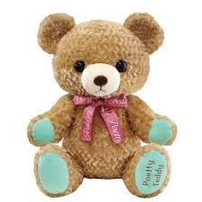 Image result for テディ
