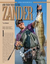 Image result for Sander canadensis/vitreus