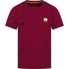 Image result for Gosport Borough Cc