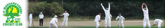 Image result for St Margaretsbury Cricket Club