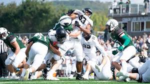 Image result for Hamilton Panthers Association Football Club