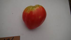 Afbeeldingsresultaat voor anna russian tomato