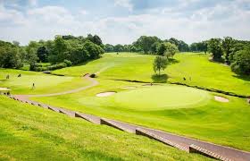 Image result for Avro Golf Club