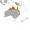 Agile wallaby - Wikipedia, the free encyclopedia