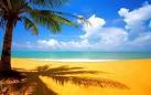 Desktop Fun: Beaches Theme