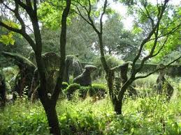 Image result for Priona Tuinen