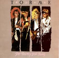 Attēlu rezultāti vaicājumam “Diderma montanum var. album young”