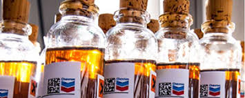 Image result for tbn