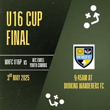 Image result for Woodmansterne Sports Fc