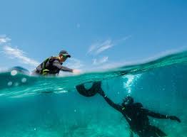 Image result for TAL Divers