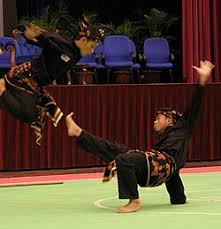 Image result for Silat Scathach