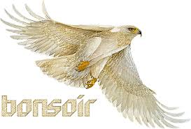 images?q=tbn:ANd9GcSFDxIEML7sTw2wsdOAOmzA9WjVIGX_dH09VHKI2M7hefWtnU3avA