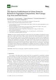 Attēlu rezultāti vaicājumam “Populus x lettland”
