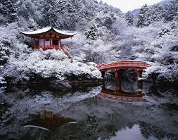 Image result for japanese gardens...