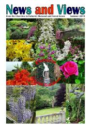 Image result for Ewhurst Stoolball Club