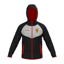 Image result for Saltash RFC