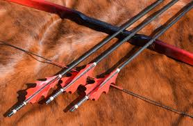 Image result for Burntwood Archers