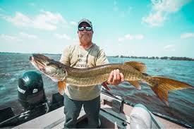 Image result for Esox masquinongy