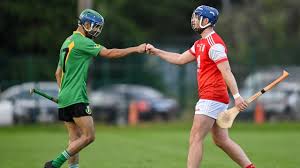Image result for Sean Treacy`s Hurling Club
