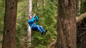 Image result for The Go Ape Experience (Delamere Forest)