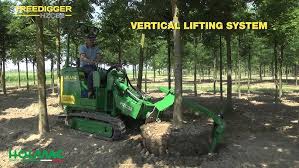 Image result for holmac tehron