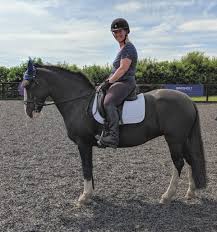 Image result for Winchester Riding Club