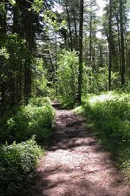 Image result for Windrush Bowmen