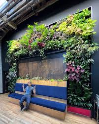 Image result for living wall