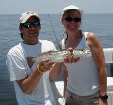 Image result for Cynoscion nebulosus