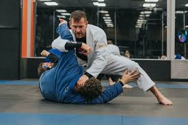 Image result for Pyramid martial arts