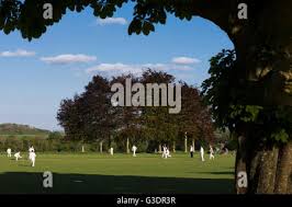 Image result for Marnhull Cricket Club
