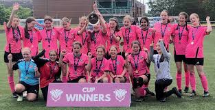 Image result for Bridge Of Weir & Ranfurly Bowling Club