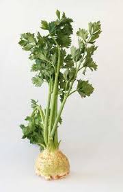 Image result for Sellerie