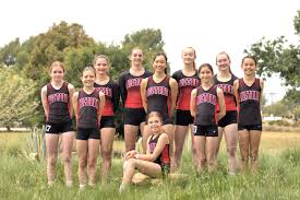 Image result for Pyramid Acro Gymnastics Club, Nottingham