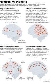 Image result for consciousness