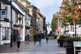 Image result for Basingstoke Sc