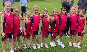 Image result for Lawn Netball Club