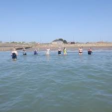 Image result for Isle Of Wight Swim Team