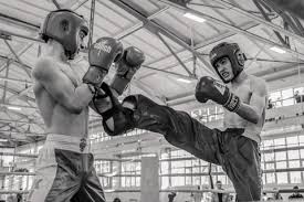 Image result for Bristol Dojo MMA