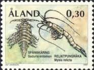 Attēlu rezultāti vaicājumam “Saduria entomon”