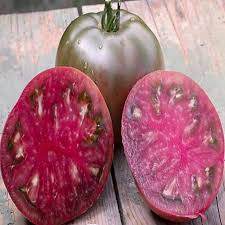 Afbeeldingsresultaat voor cherokee purple tomato