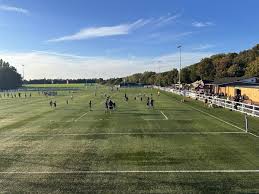 Image result for Chiswick Rugby Club