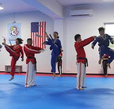 Image result for IXL Martial Arts