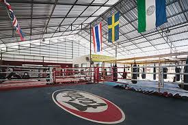 Image result for Muay Thai Clubs