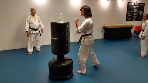 Image result for Ryusui-ryu Martial Arts School East Grinstead