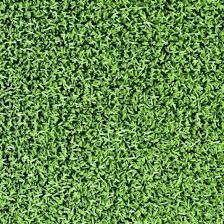 Image result for Astroturf