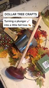 Image result for apupy