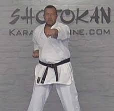 Image result for ZOKU SHOTOKAN KARATE (Baldock)