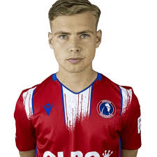 Image result for Dorking Wanderers F C