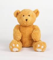 Image result for テディ